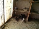 IMG_20140329_130156