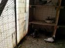 IMG_20140329_130214