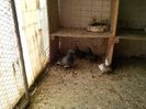 IMG_20140329_130217