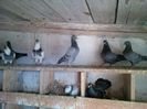 IMG_20140329_130306