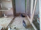 IMG_20140329_130338