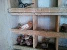 IMG_20140329_130541