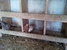 IMG_20140329_130557