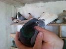 IMG_20140329_130743