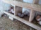 IMG_20140329_130822