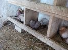 IMG_20140329_130826