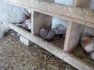 IMG_20140329_130829