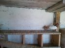 IMG_20140329_130841