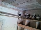 IMG_20140329_131058