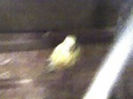 08-12-12_2012