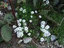 DSC04940
