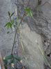 DSC04946