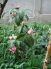 DSC04975