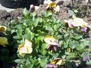 20140330_131818