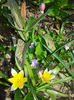 DSC05560
