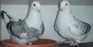 DSCF7171