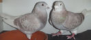 DSCF7205