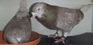 DSCF7206