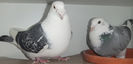 DSCF7292