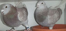 DSCF7364