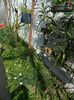 DSCN5634