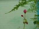 DSCN5644