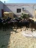 IMG-20140403-WA0014
