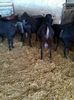 IMG-20140403-WA0015
