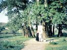 Cu Maria la Plopii fara sot, august 2002