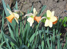 DSCN1012_001