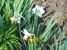 DSCN1013_002