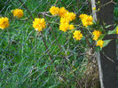 DSCN1015_004