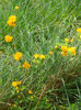 DSCN1016_005