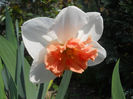 DSCN1019_008