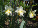 DSCN1022_011