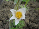 DSCN1024_013