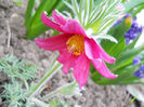 DSCN1025_014