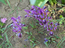 DSCN1027_016
