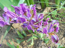 DSCN1028_017