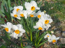 DSCN1031_020