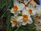 DSCN1033_022