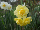 DSCN1036_025