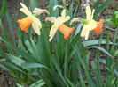 DSCN1040_029
