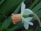 DSCN1045_034