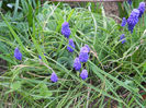 DSCN1047_036