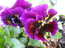 DSCN1052_041