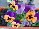 DSCN1053_042