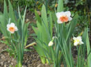 DSCN1057_046