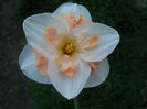 DSCN1058_047