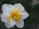 DSCN1059_048